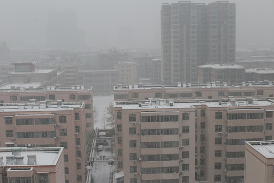 城市雪景