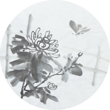 菊蝶