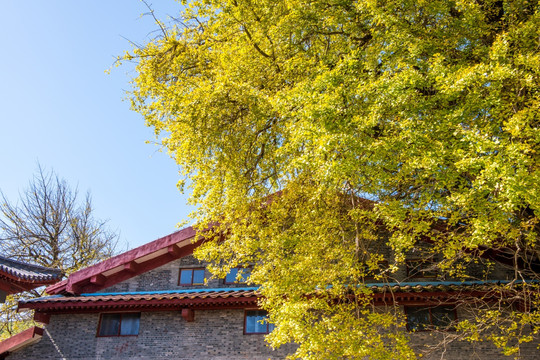 真如禅寺