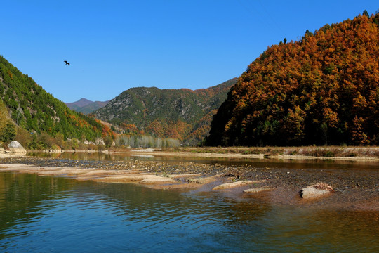 洛河风光