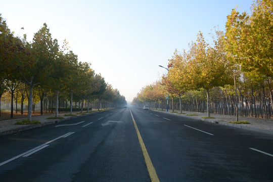 泊油路