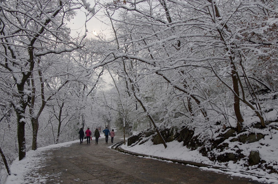 雪后琅琊古道