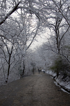 雪后琅琊古道