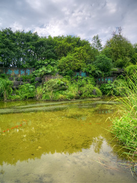 桂林訾洲岛飞瀑落虹水池