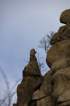 泰迪爬山