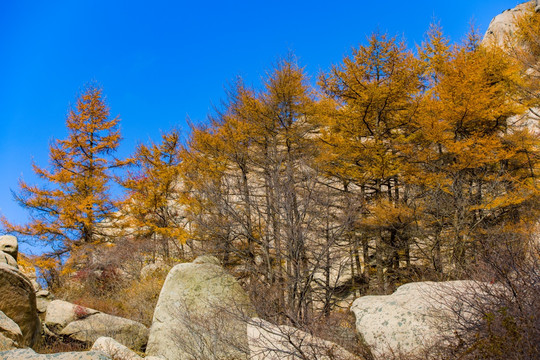 崂山