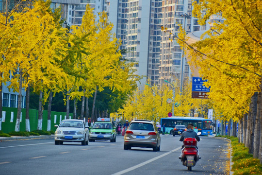 遂宁五彩缤纷路