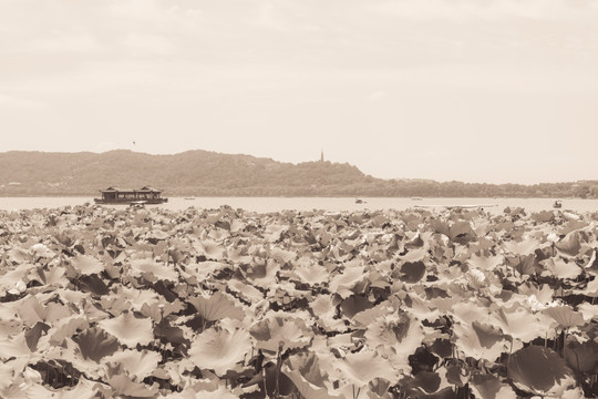 杭州西湖风景黑白照片
