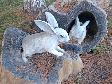 雕塑野兔