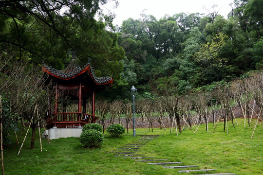 福州金鸡山公园