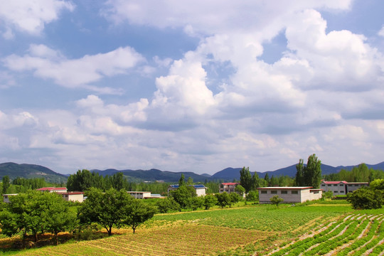 北方山村