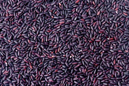 五谷杂粮紫米