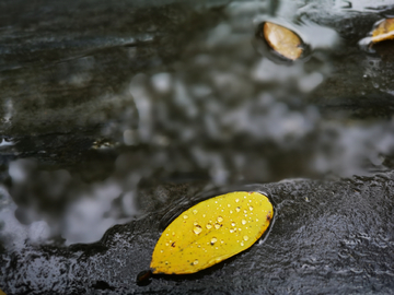 下雨天