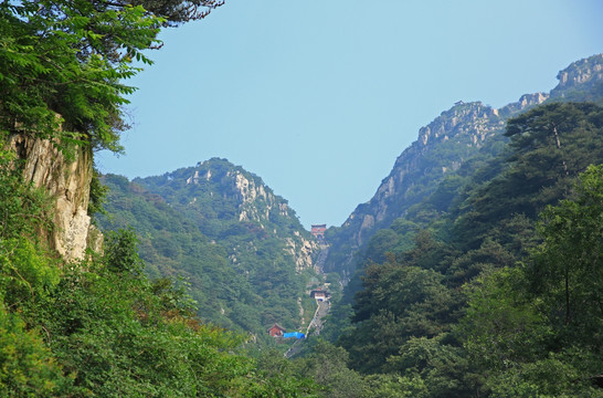 泰山风光