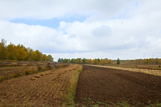 秋天的北方农田