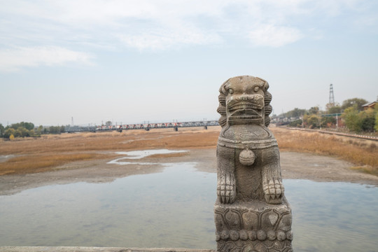 卢沟桥石狮子