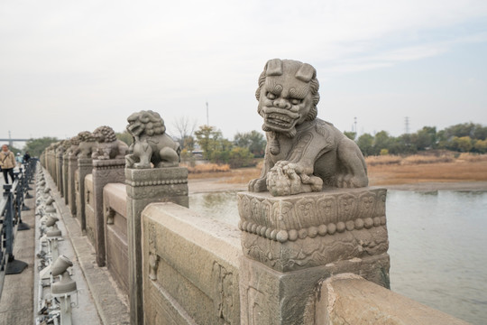 卢沟桥石狮子特写