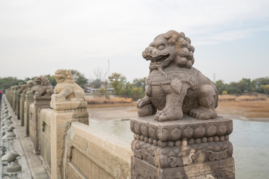 卢沟桥石狮子特写