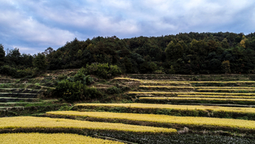 灵山梯田