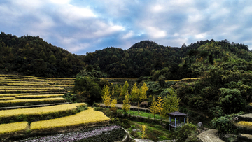 灵山梯田