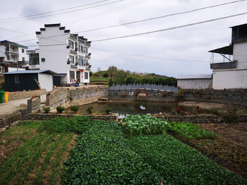 乡村即景