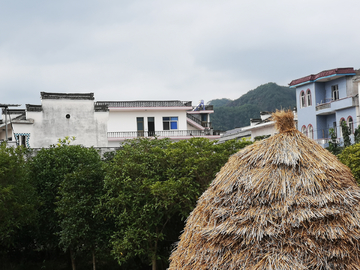 乡村即景