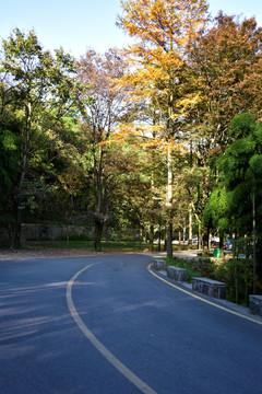 山間公路
