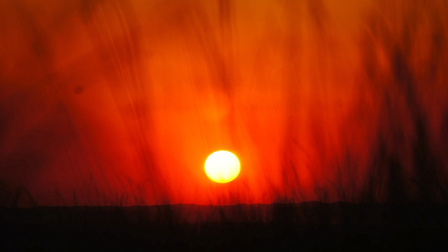 青海海西都兰草原日落夕阳