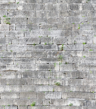 南京明城墙砖