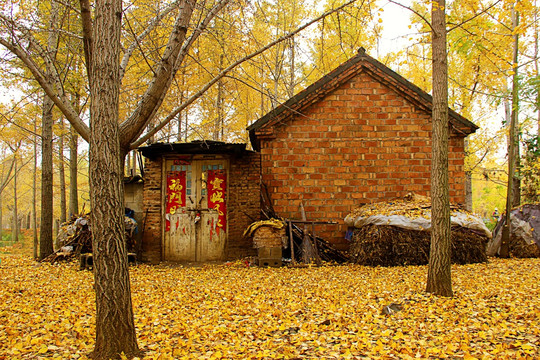 落叶小屋