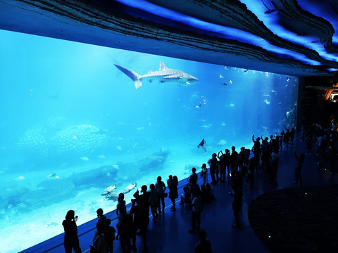 海洋王国水族馆