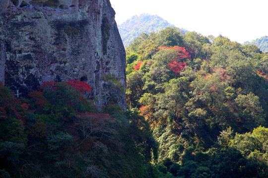 山之秋