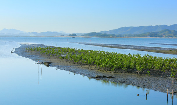 惠州盐洲岛湿地公园