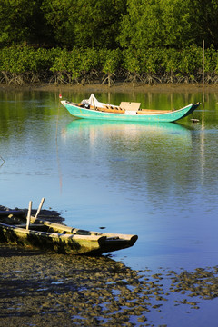 惠州盐洲岛湿地公园