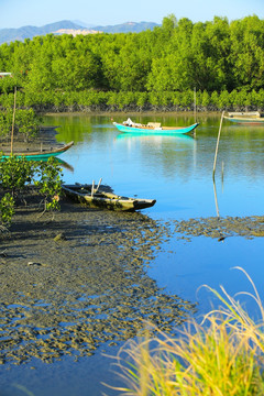 惠州盐洲岛湿地公园