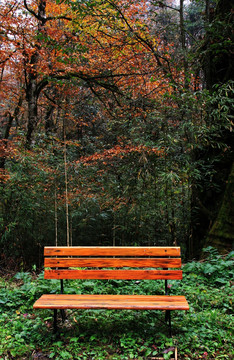 秋色下的长椅木凳
