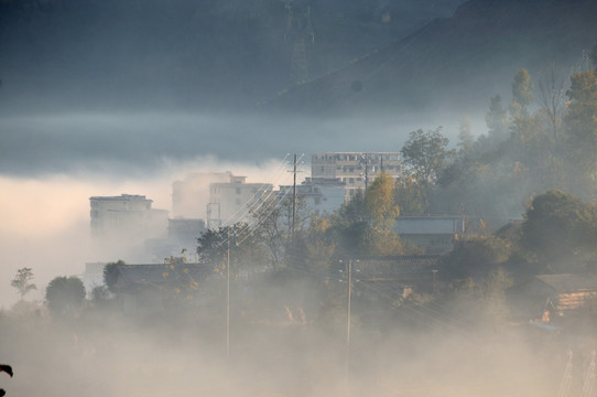 乡村雾景田园田野