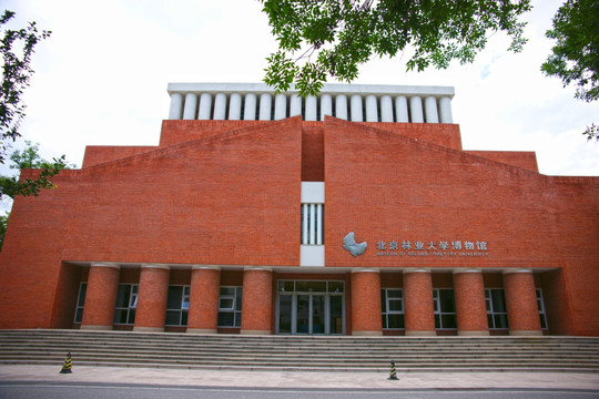 北京林业大学博物馆