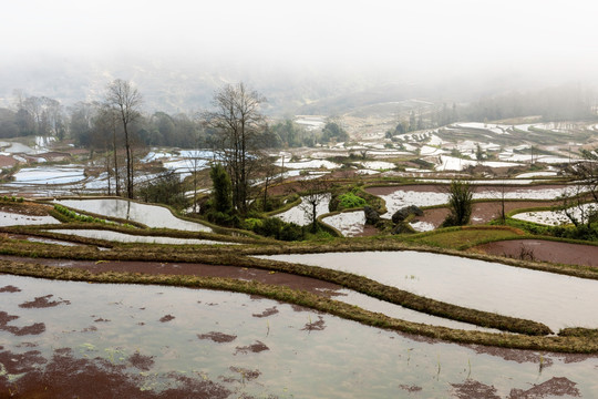 元阳梯田