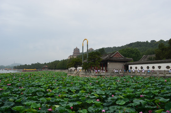 颐和园风光