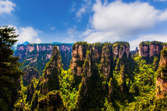 山峰张家界