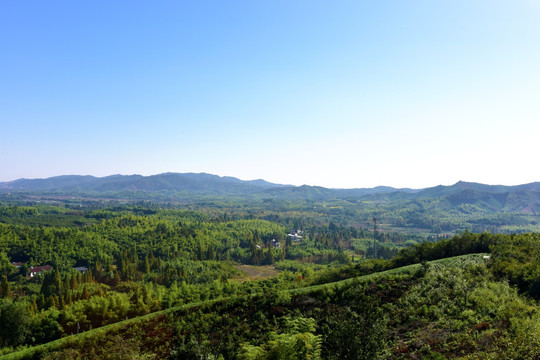 莫干山风光