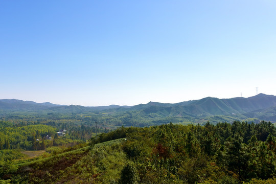 莫干山风光