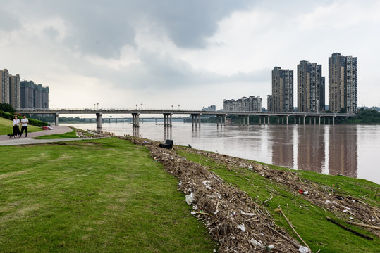 江岸城市跨江大桥城市倒影