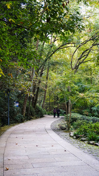 杭州虎跑径