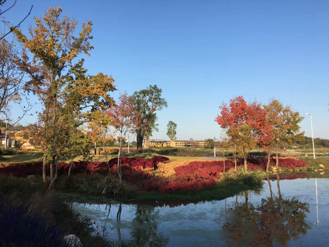 国外秋天风景