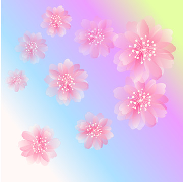 夢(mèng)幻花朵