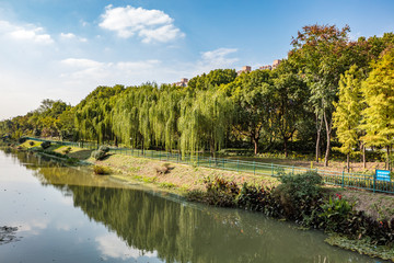 河流河流