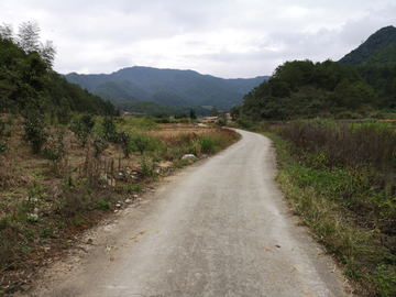 乡间田野