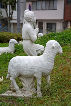 绵羊与儿童